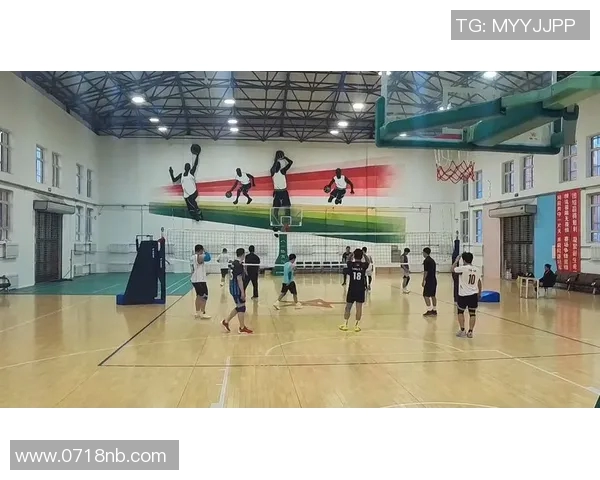 南京排球队的力量与激情：聚焦排球运动的崛起与发展